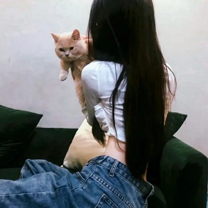 狐妖小红娘镜花缘篇